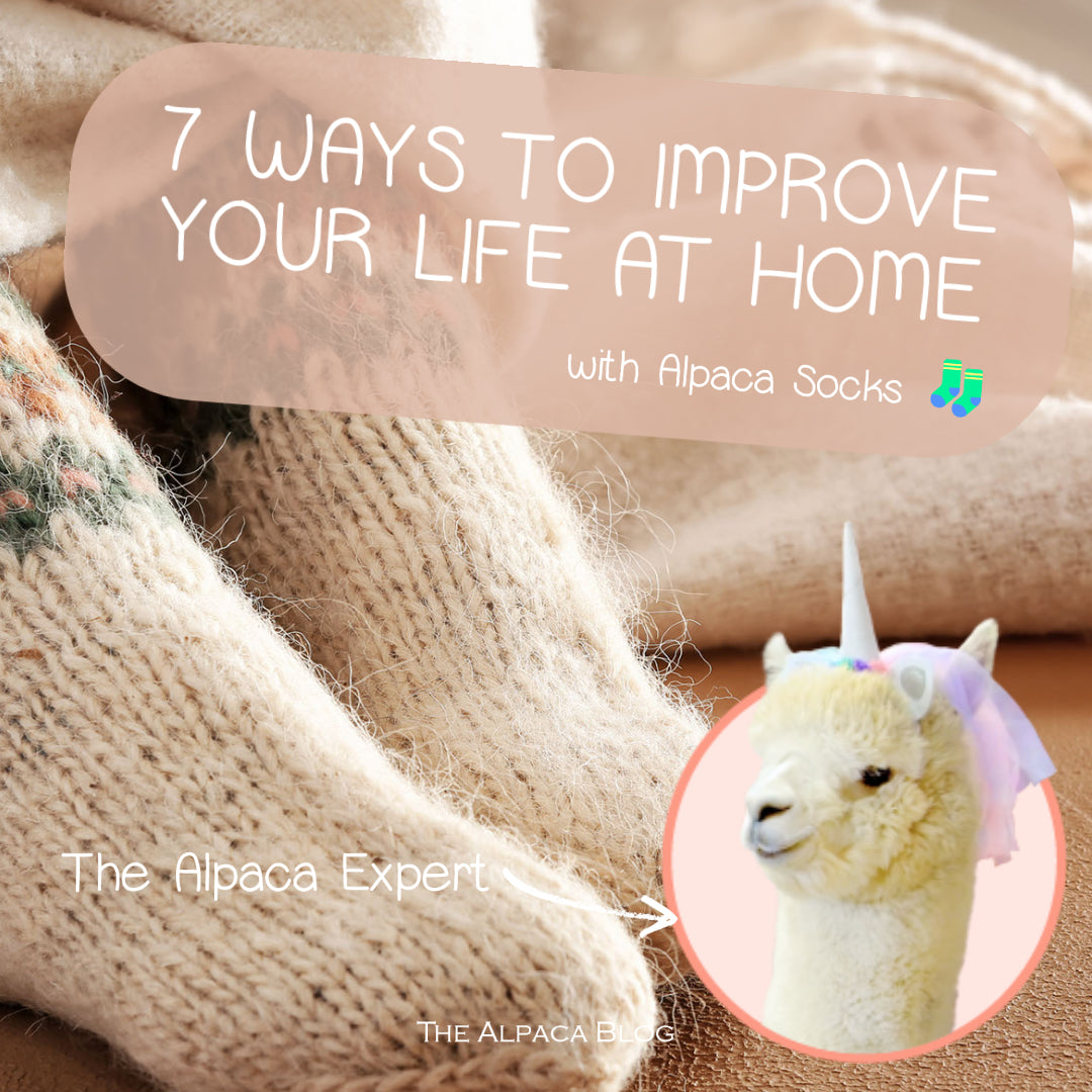 7 ways to make your life more comfy at home