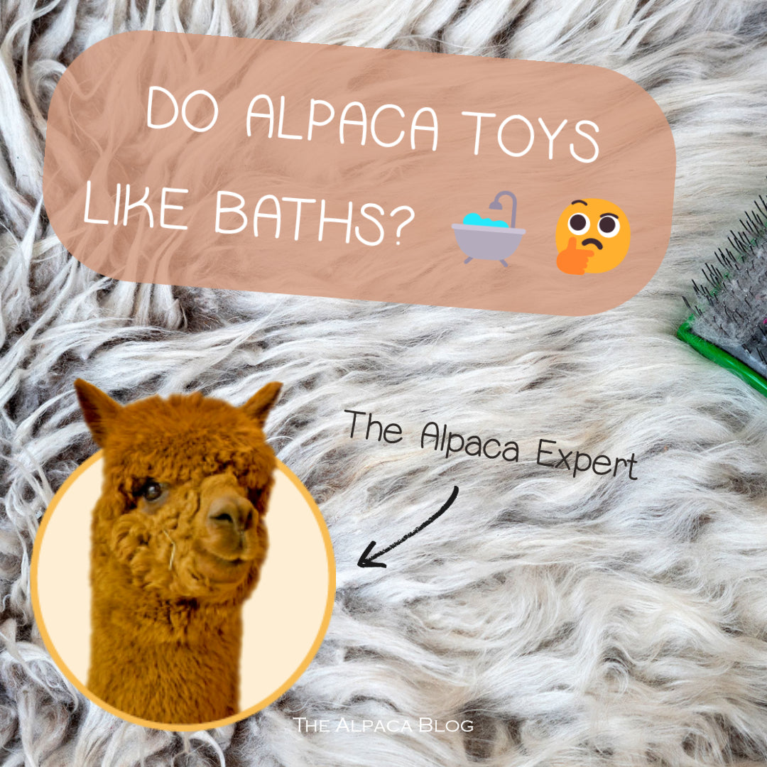 How do I care for my alpaca wool stuffed animal?