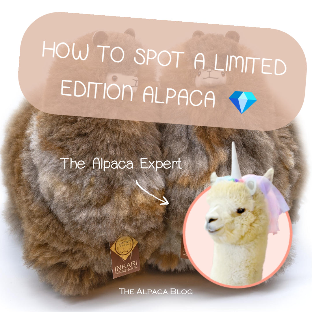 4 Ways to spot the difference between a Barista and a Pumpkin Spice Latte