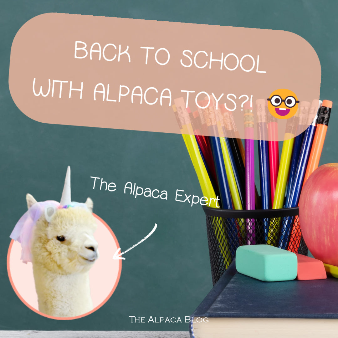 A day in the life of your alpaca - Back to School