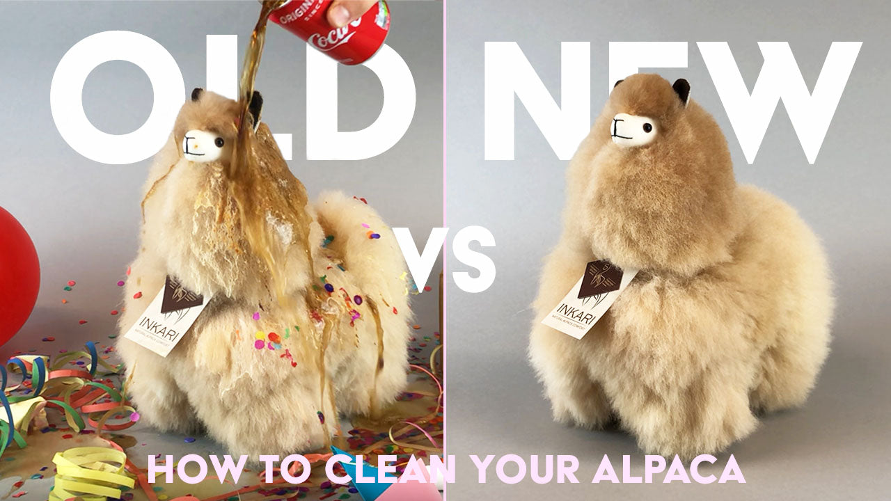 How To Clean Your Alpaca Toy