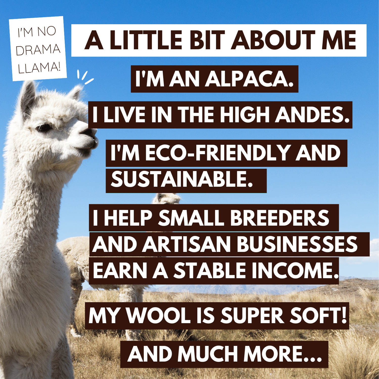 Naturals - Obsidian - Alpaca Stuffed Animal (USA)