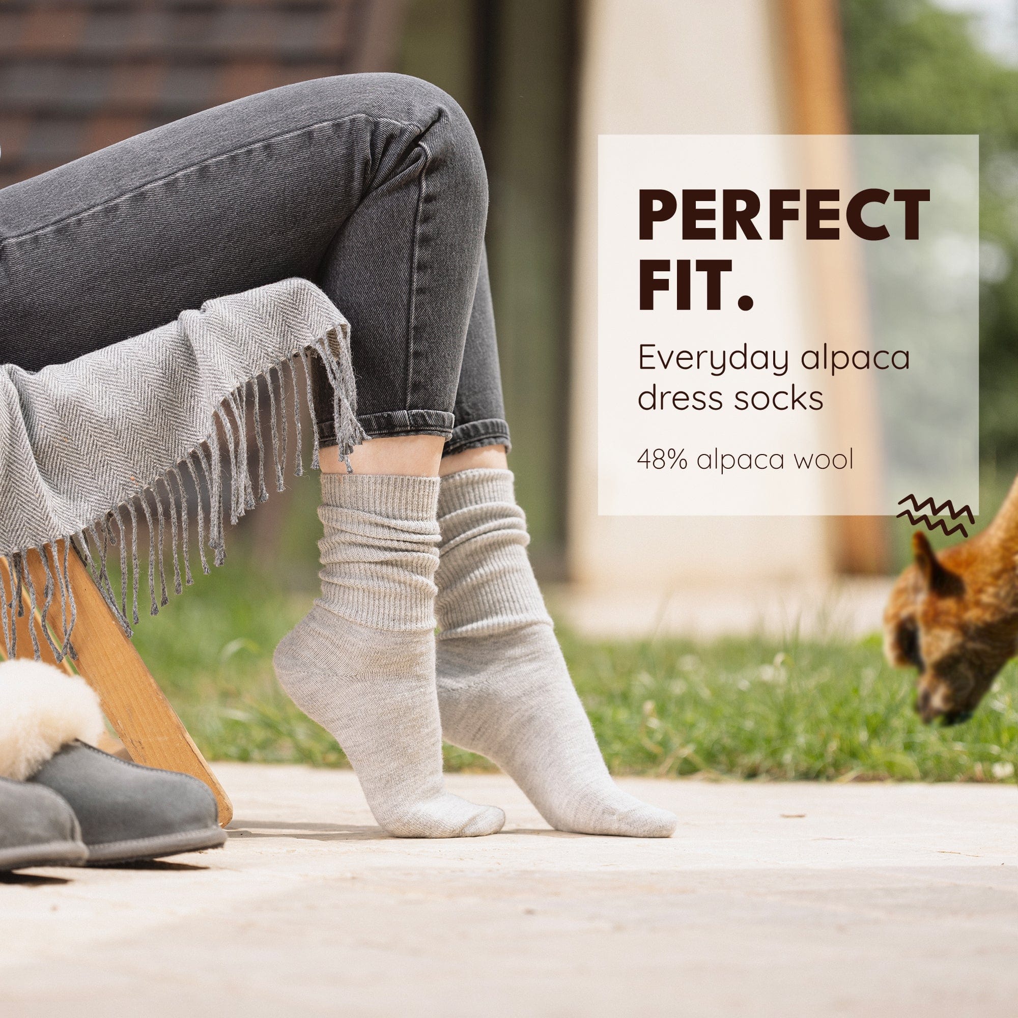 Everyday - 2-Pack - Alpaca Sock USA