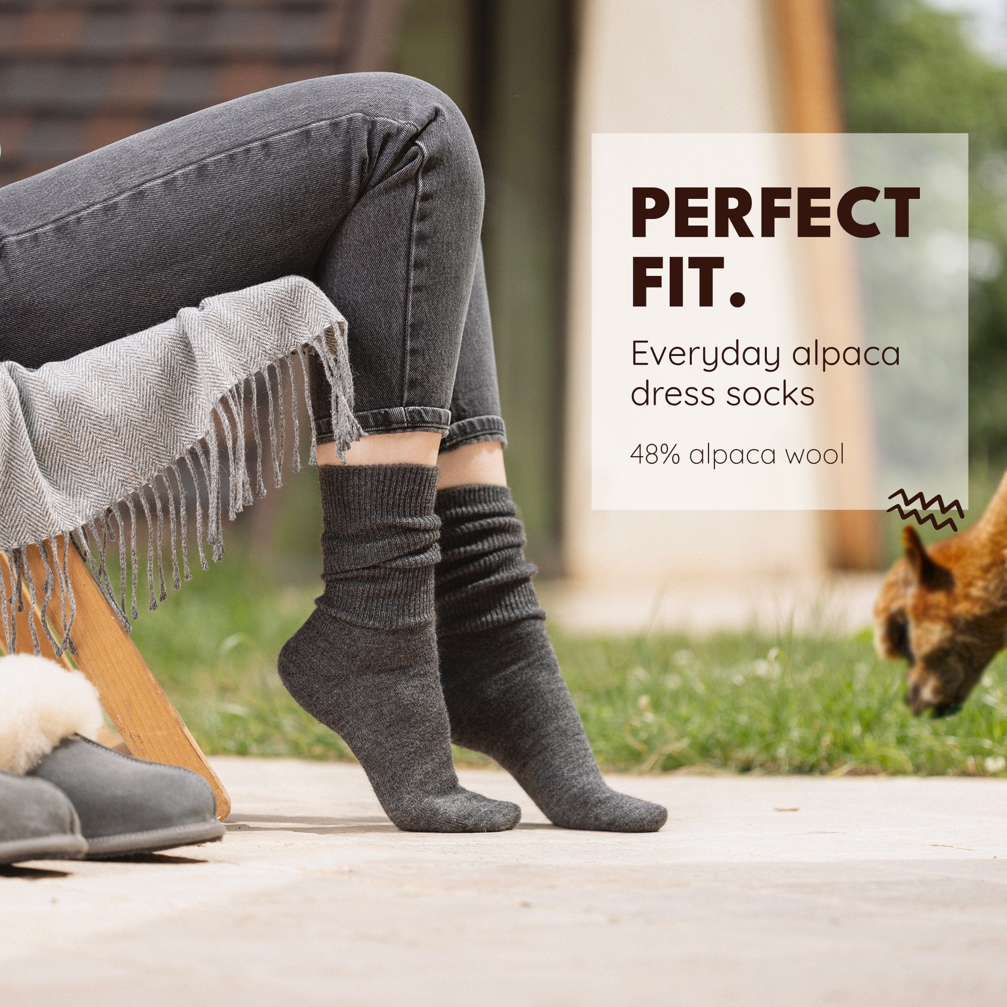 Everyday - 2-Pack - Alpaca Sock USA
