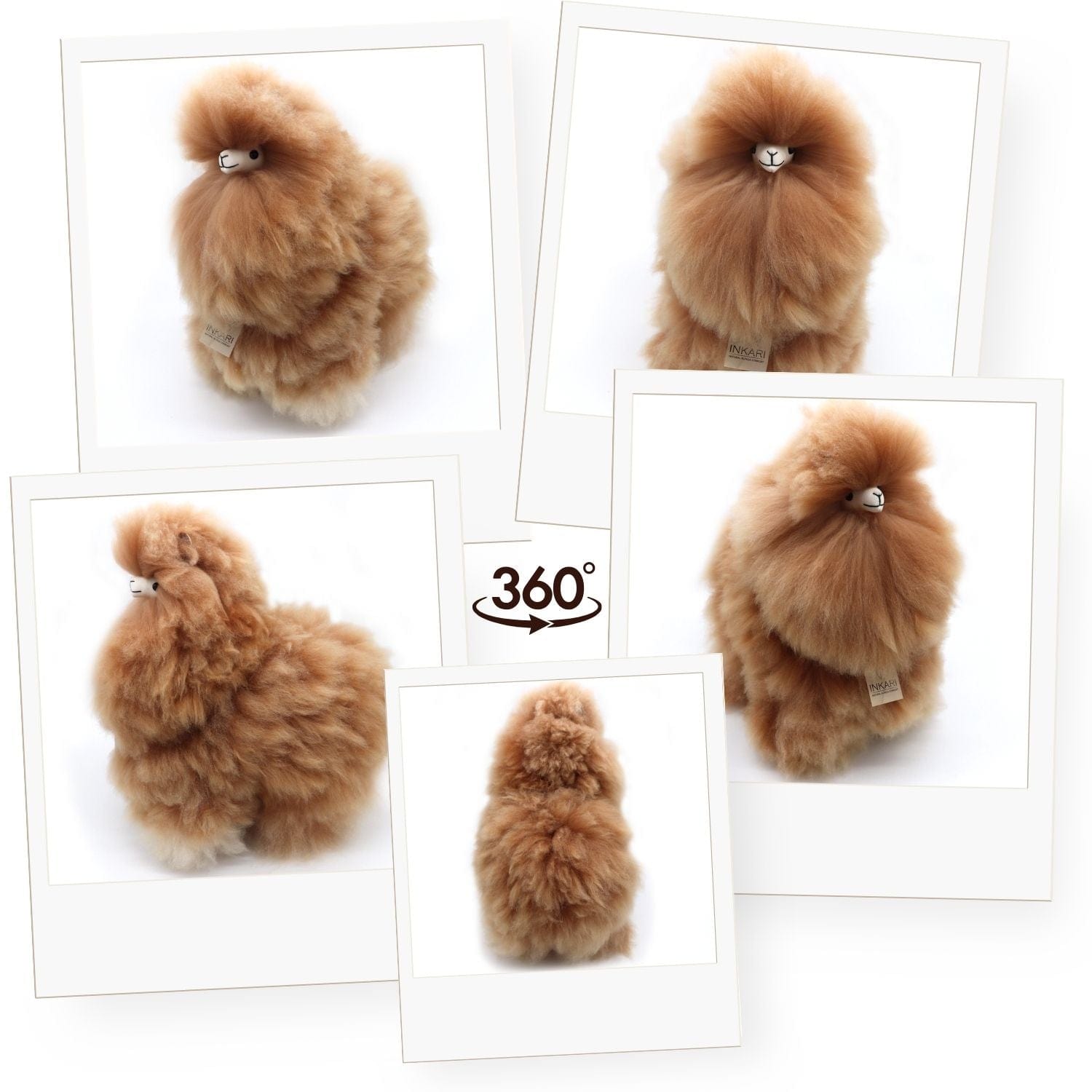 #size_large (50cm)