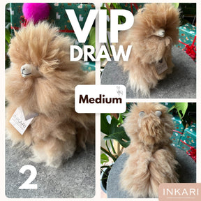 VIP Draw - Medium, Large & Rug - Alpaca Toys