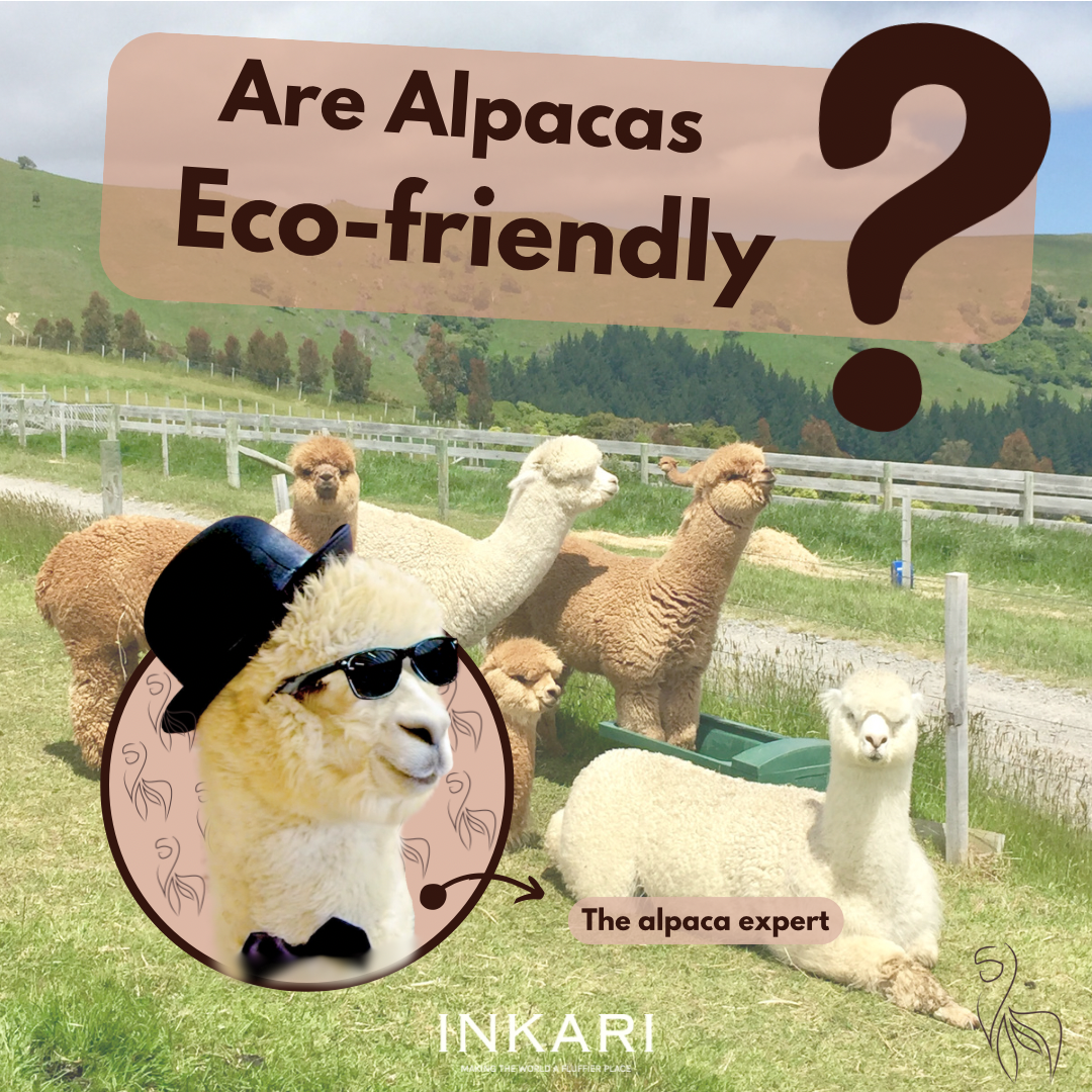 Are Alpacas Eco-Friendly?