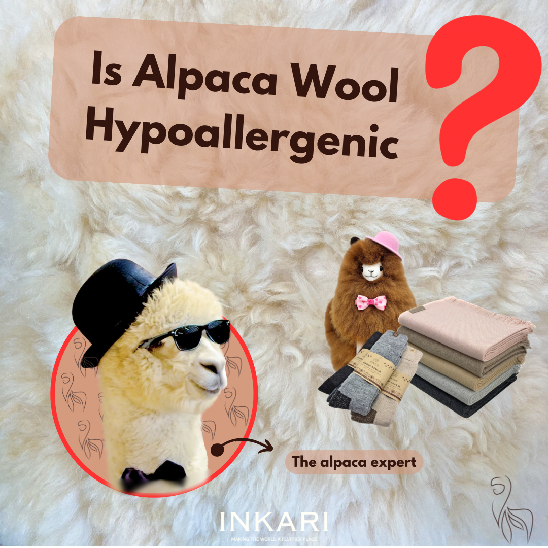 Is Alpaca Wool Hypoallergenic?