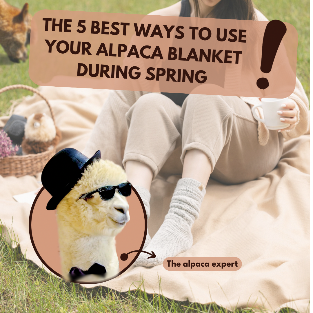 The 5 Best Ways to use your Alpaca Blanket during Spring!