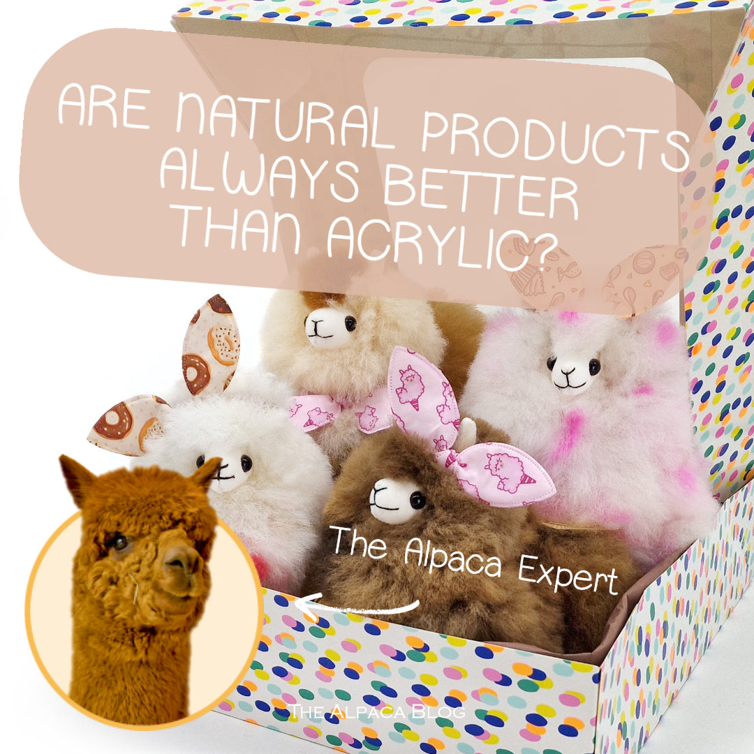 5 reasons why alpaca wool stuffed animals are superior to acrylic toys