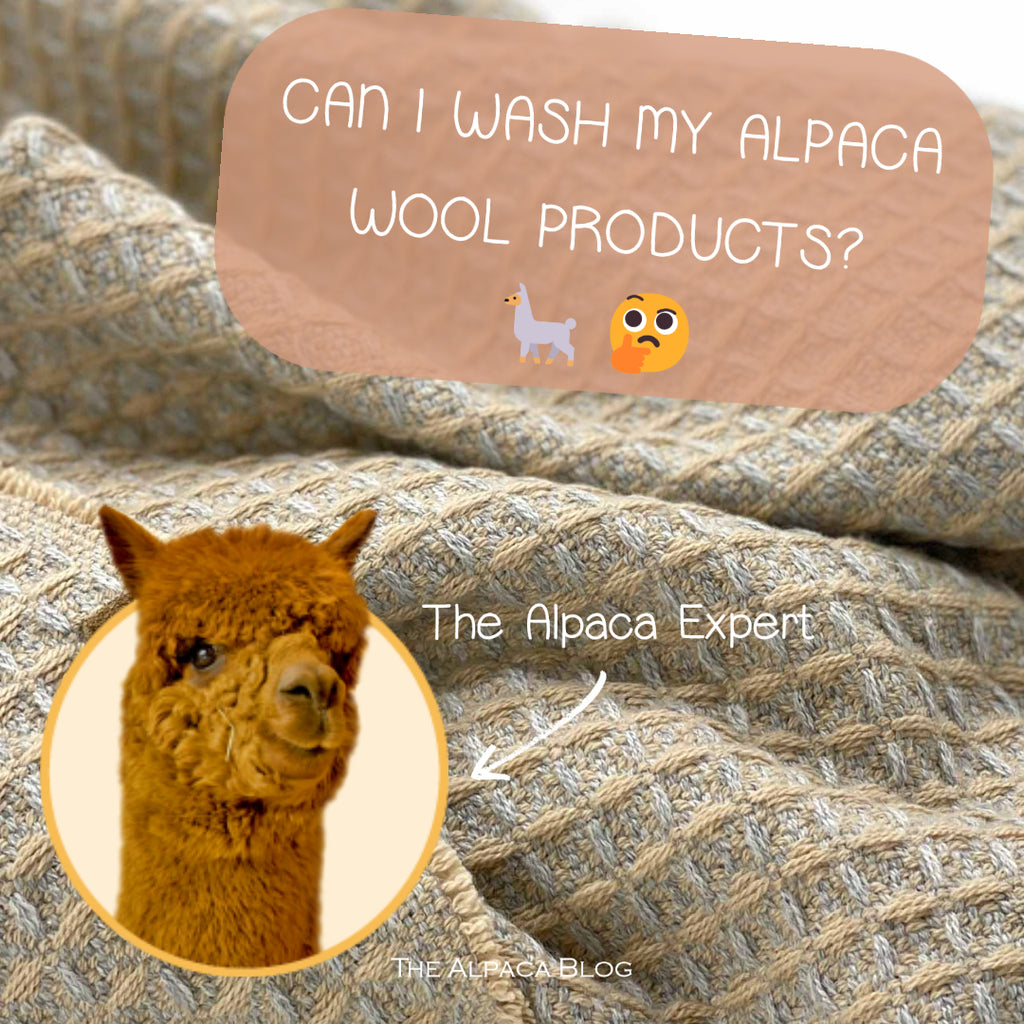 Why you need to try alpaca wool clothing - Linen Way