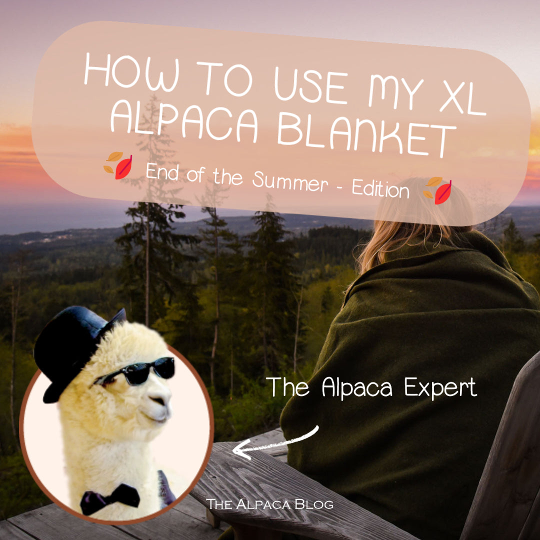 How to use your  XL alpaca blanket - End of the Summer Edition 🍂