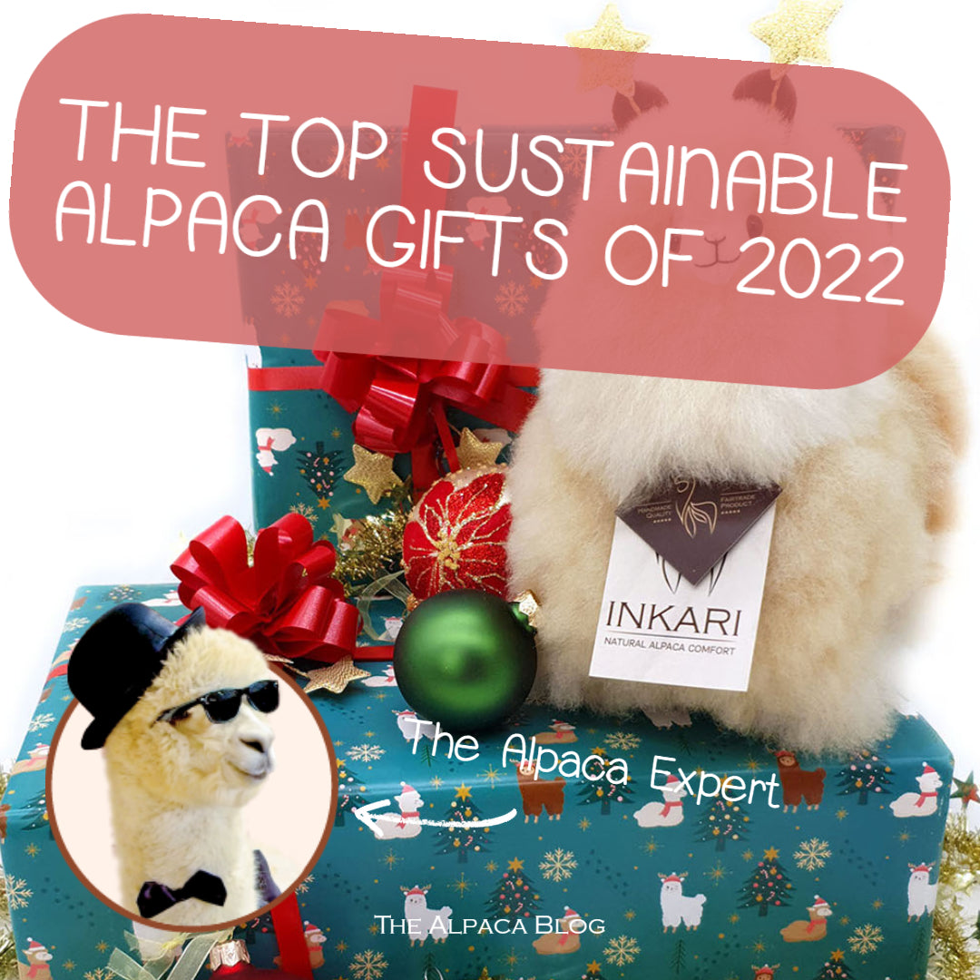 The top 6 sustainable alpaca gifts in 2022