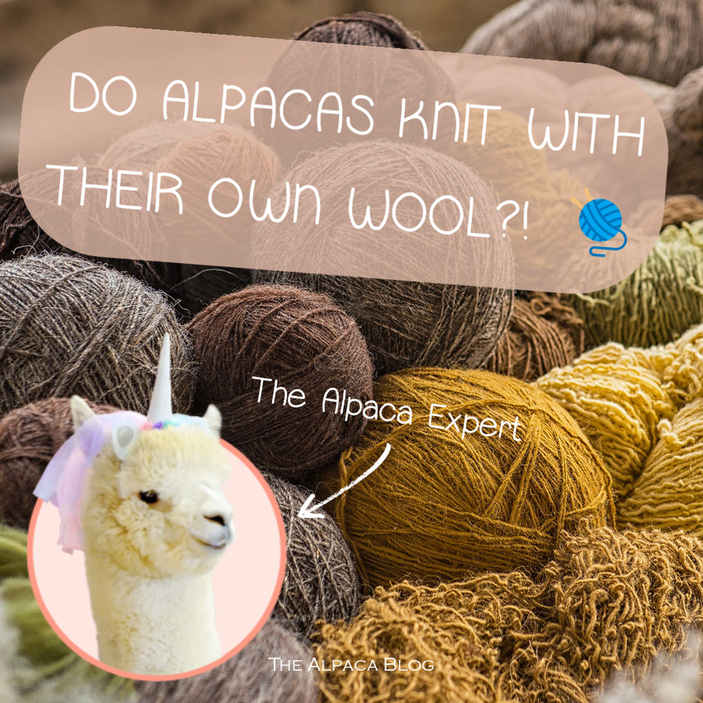 Knitting with alpaca yarn - Everything you need to know [+tips
