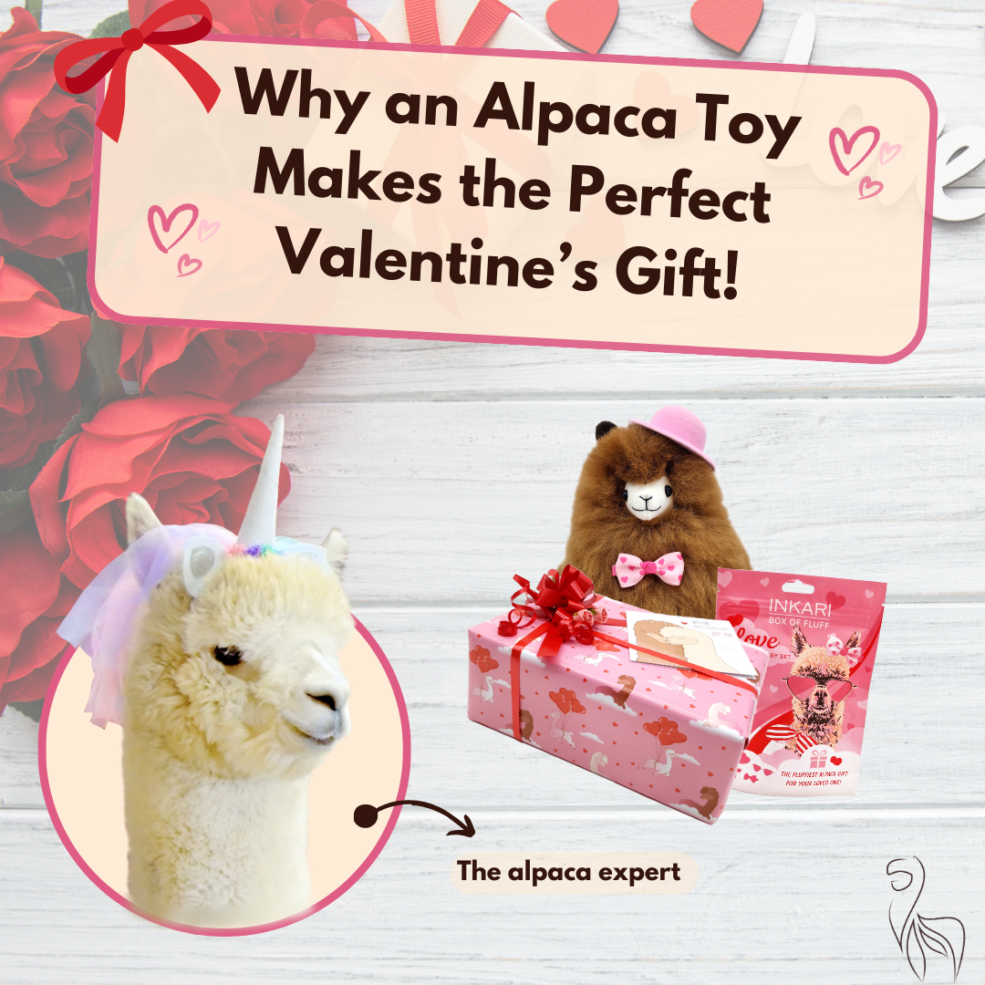 Why an Alpaca Toy is the Perfect Valentine's Gift!