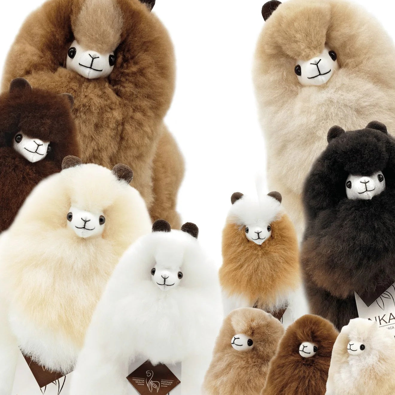 Natural & Barista Alpaca Collection