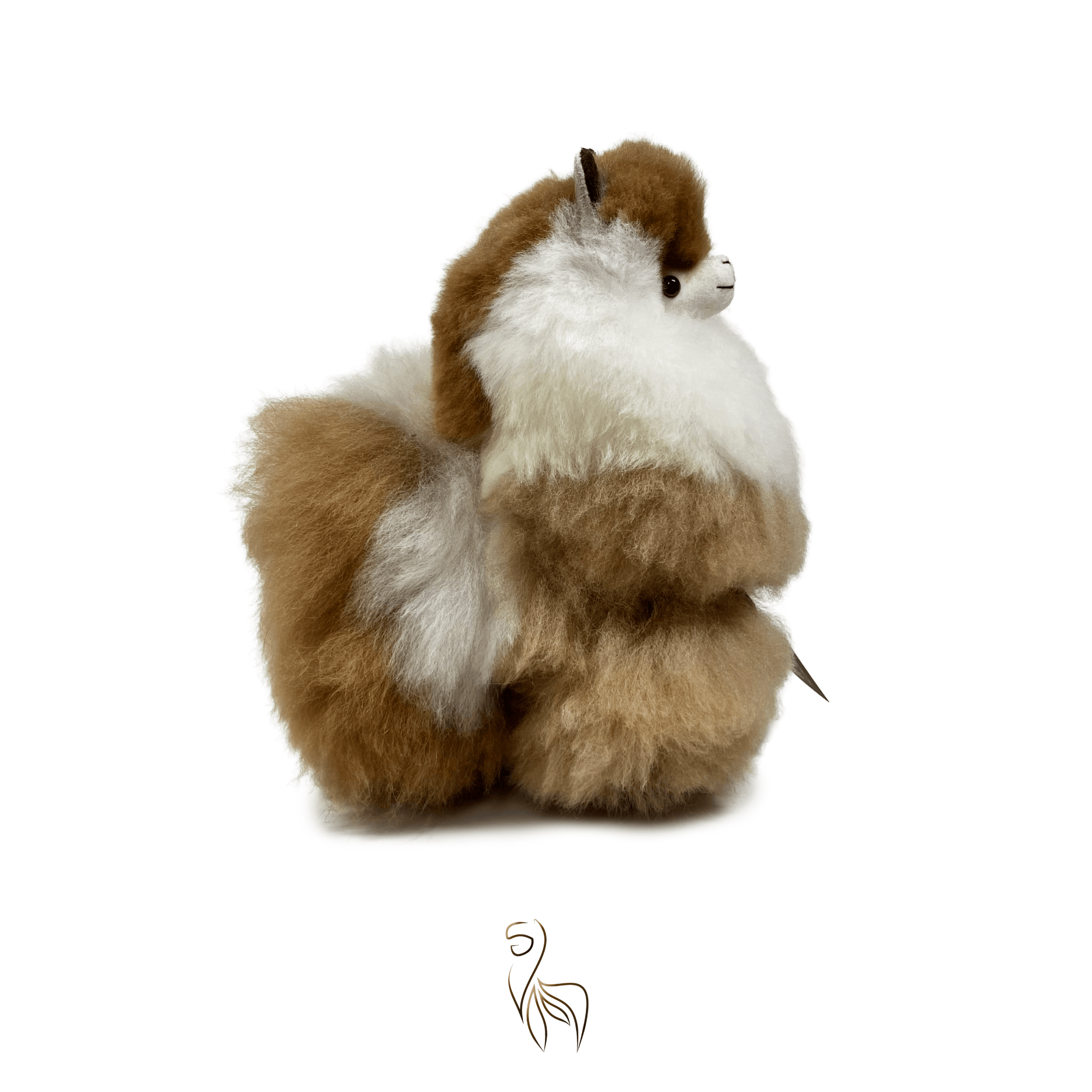 #size_small (23cm)