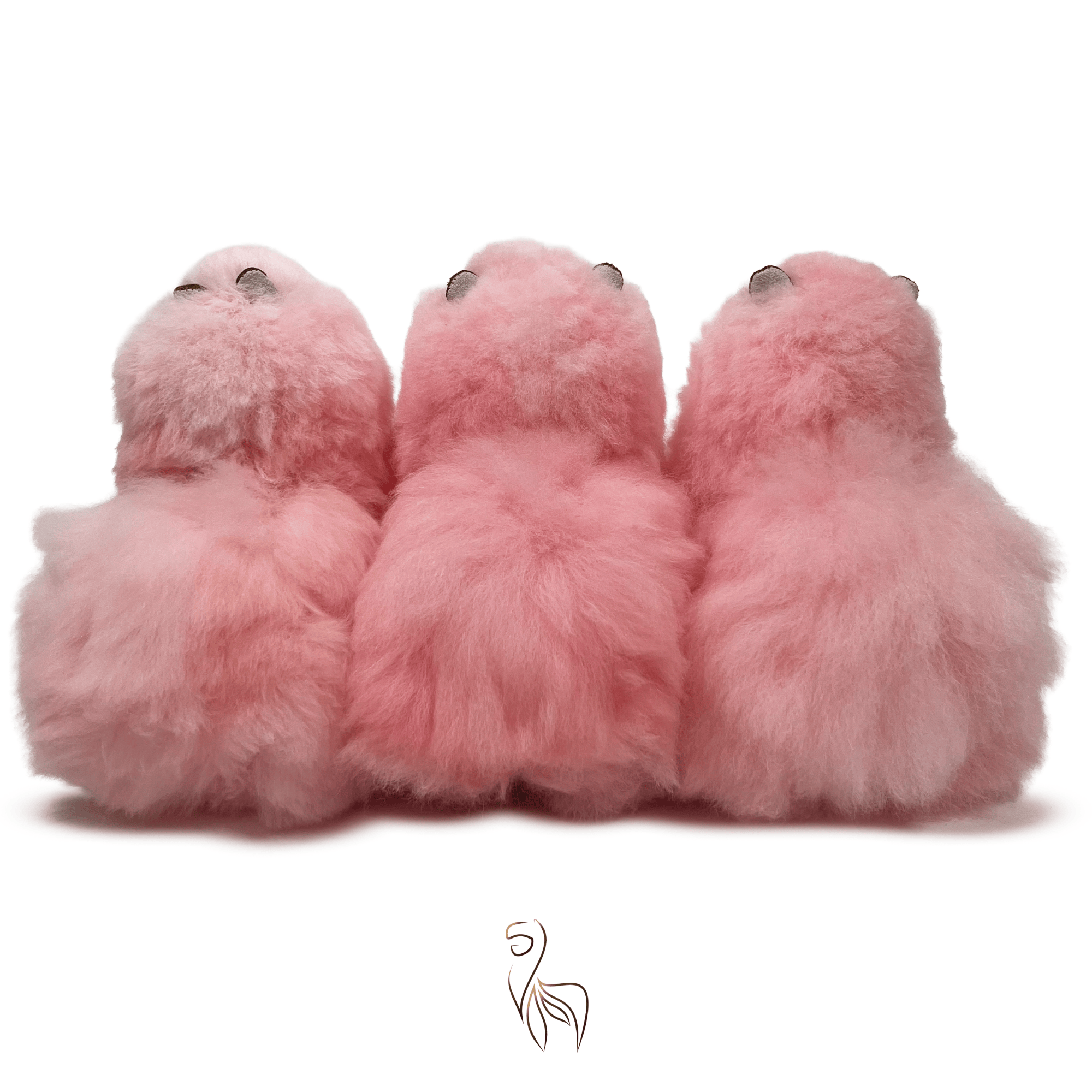 #size_small (23cm)