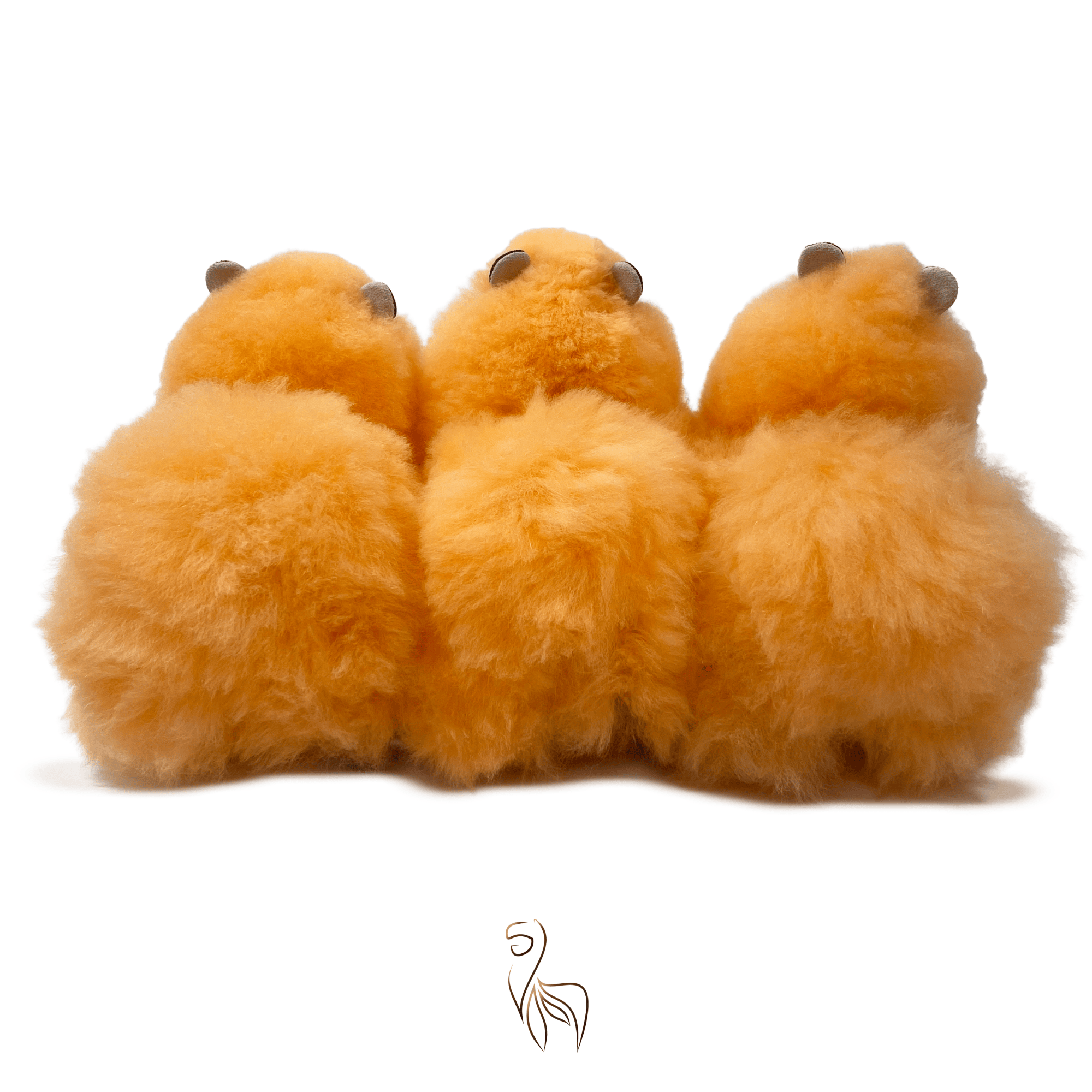 #size_small (23cm)