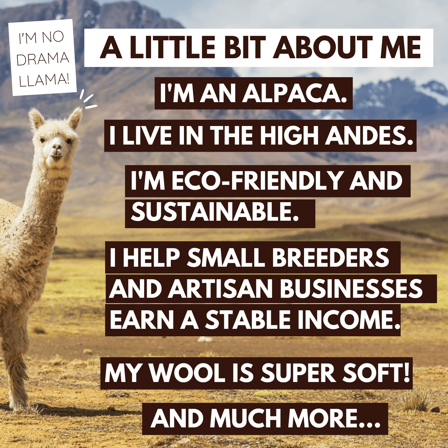 Mini-Mama Alpaca Bundle