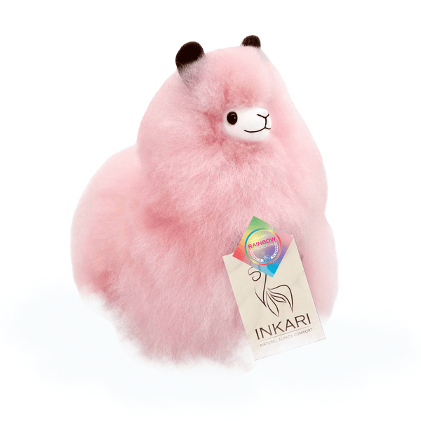 ALPACAS-PRIMARYPICTURE-