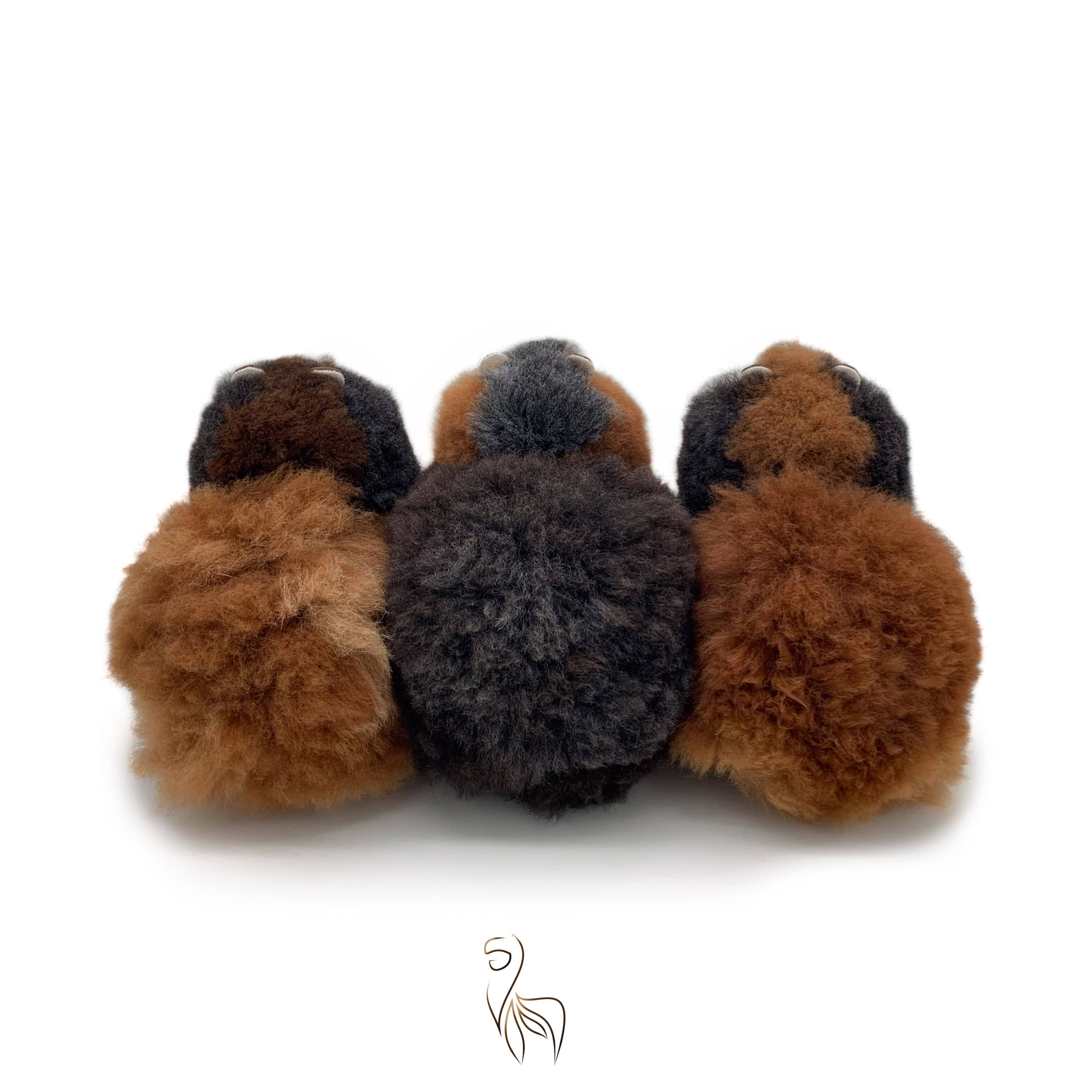 #size_small (23cm)