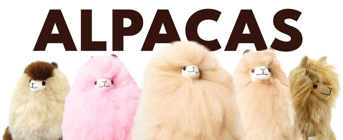 Alpaca Stuffed Animals | All Sizes & Colors | Inkari