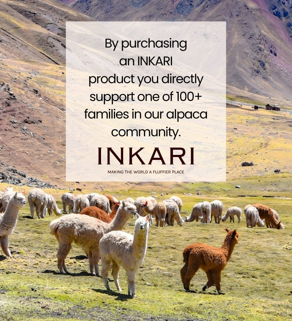 Alpaca house shoes sales