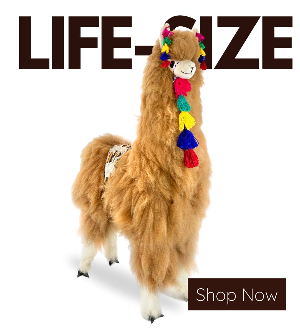 Life size shop llama stuffed animal