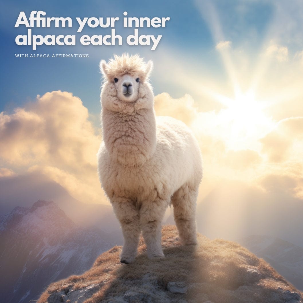 Mindfulness Through Fluffiness - Pack