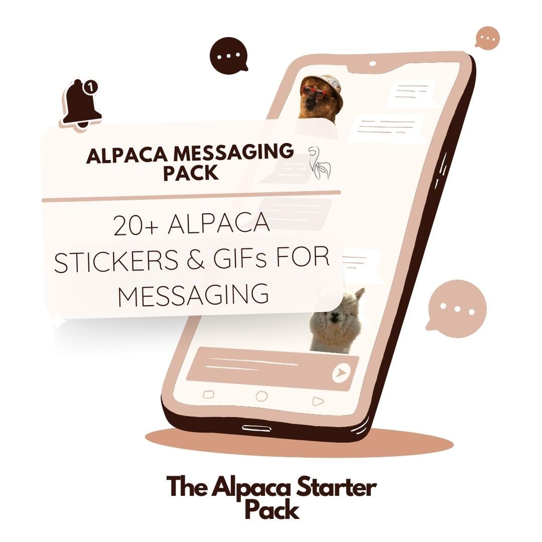 Alpaka-Starterpaket