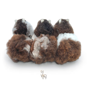 Tiramisu - Small Alpaca Toy (23cm) - Limited Edition