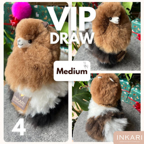 VIP Draw - Medium, Large & Rug - Alpaca Toys