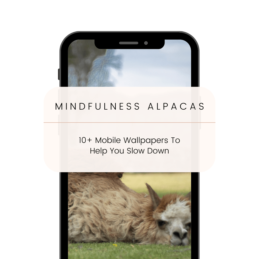 Mindfulness Through Fluffiness - Pack