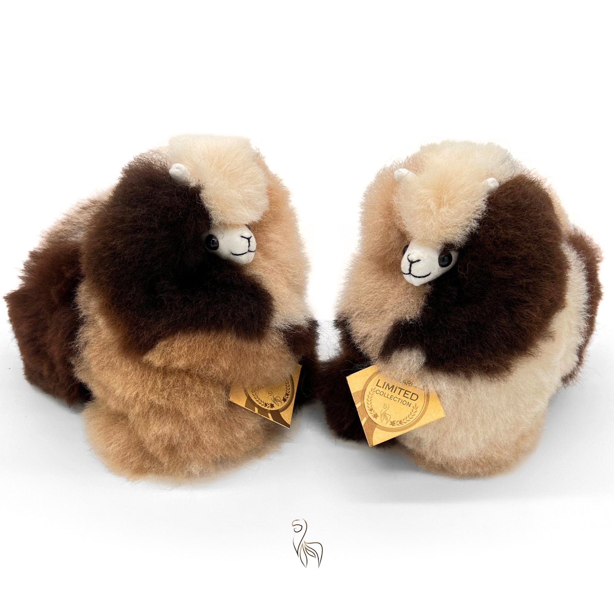 Coatimundi - Mini Alpaca Toy (15cm) - Limited Edition