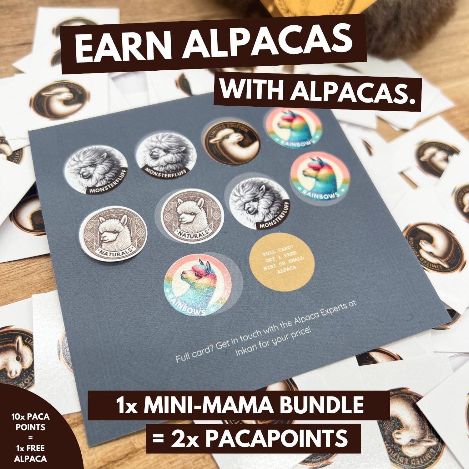 Mini-Mama Alpaca Bundle