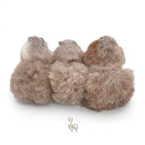 Chipmunk - Small Alpaca Toy (23cm) - Limited Edition
