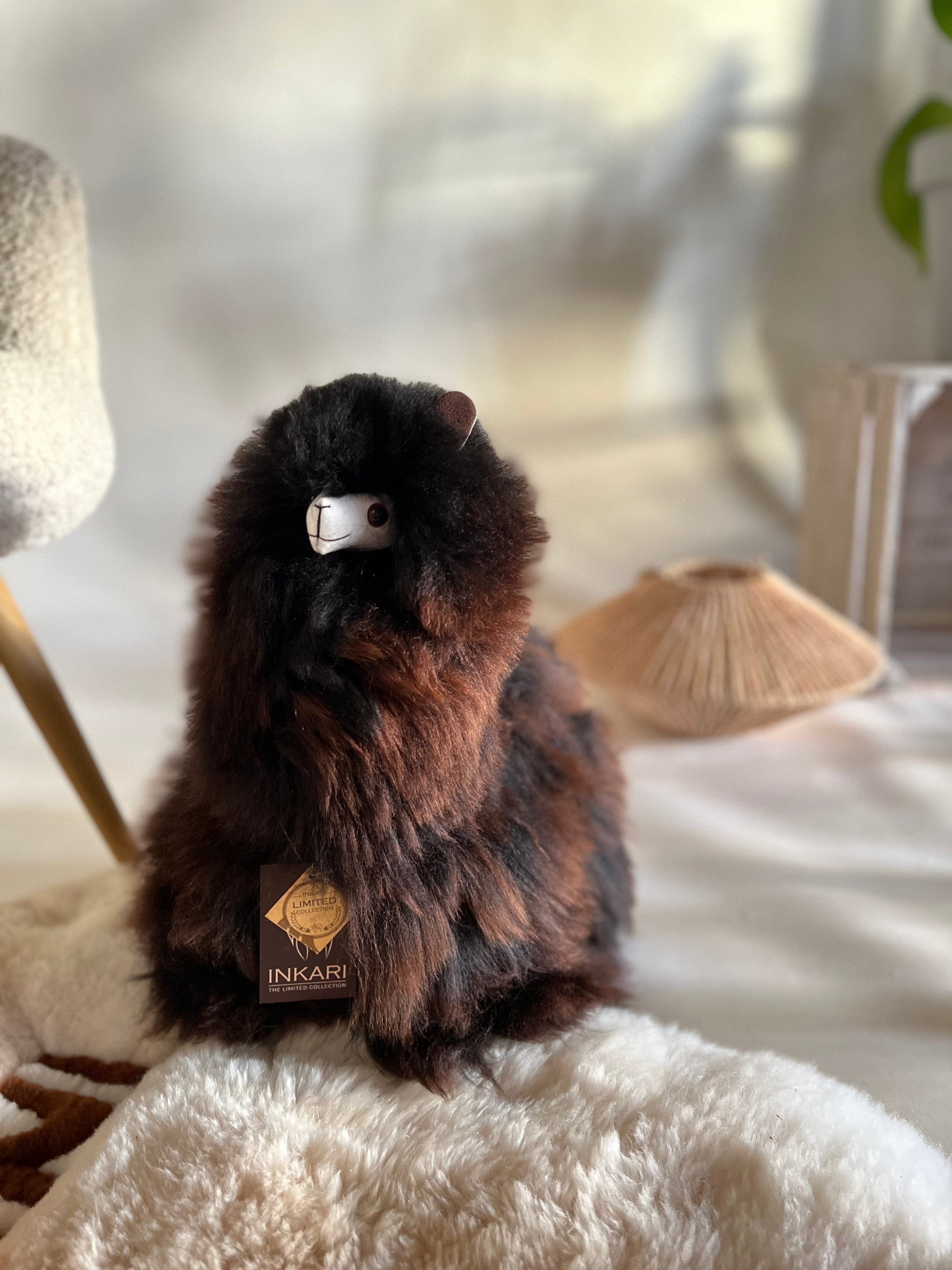 Cacao - Large Alpaca Toy (50cm) - Limited Edition