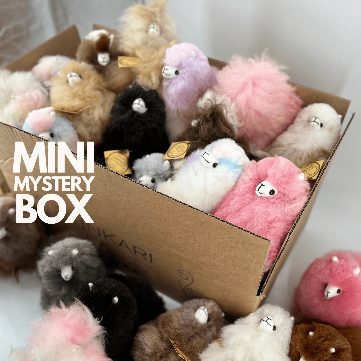 Mini-Mystery-Box