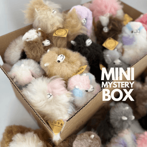 Mini Mystery Box