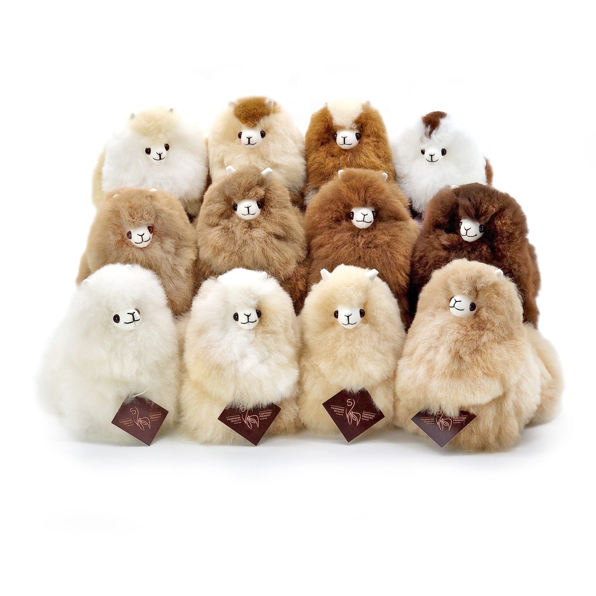 Build your Alpaca family - the Minis