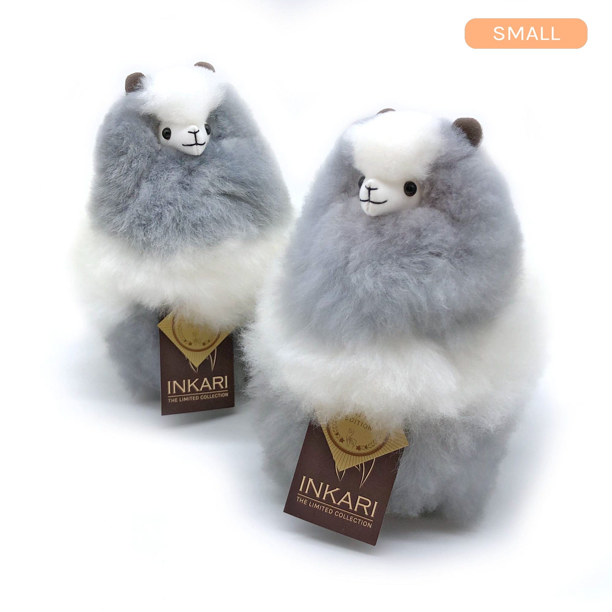 Limited Edition - Koala - Small Alpaca Toy (23cm)