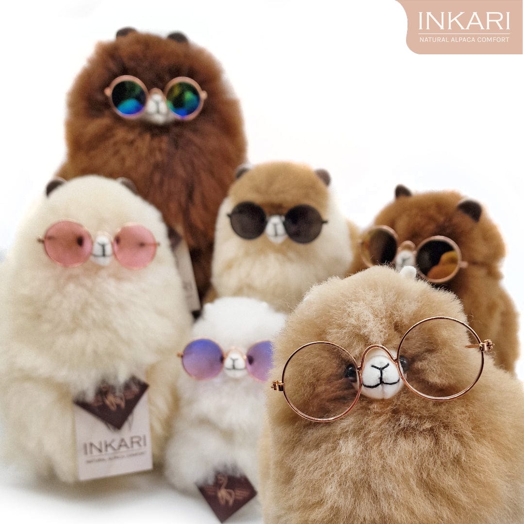 Alpaca Glasses - Round