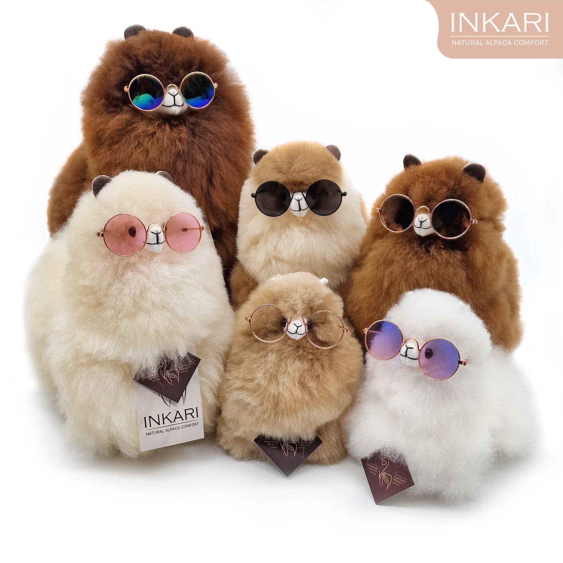 Alpaca Glasses - Round