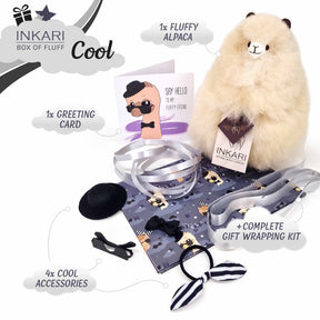 Doos met Fluff - Cool - Klein Alpaca speelgoed