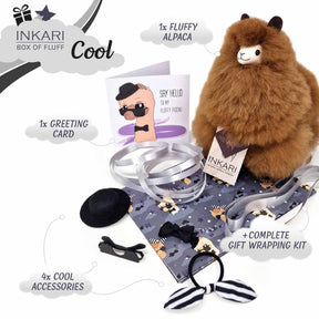 Doos met Fluff - Cool - Klein Alpaca speelgoed