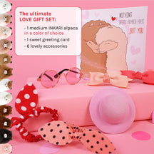Alpaca Gift Sets - Medium (32cm) - Love
