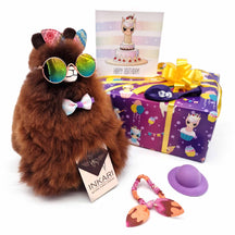 Scatola di lanugine - Compleanno - Piccolo giocattolo di alpaca